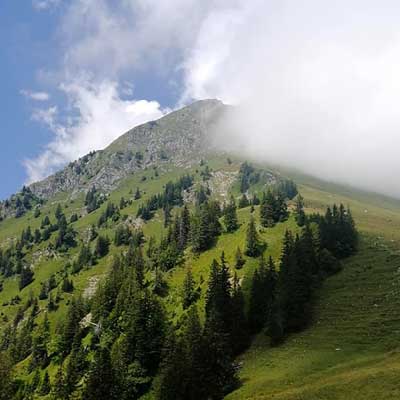 qui-suis-je-04-mobile